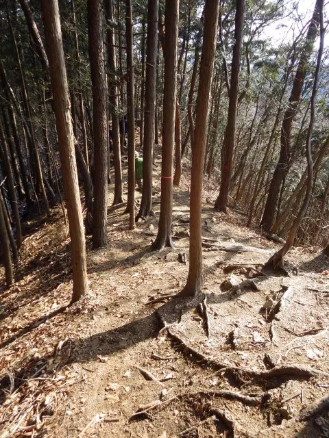 榛名山下り 榛名山下り