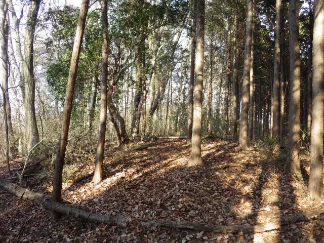 兜山山頂 兜山山頂