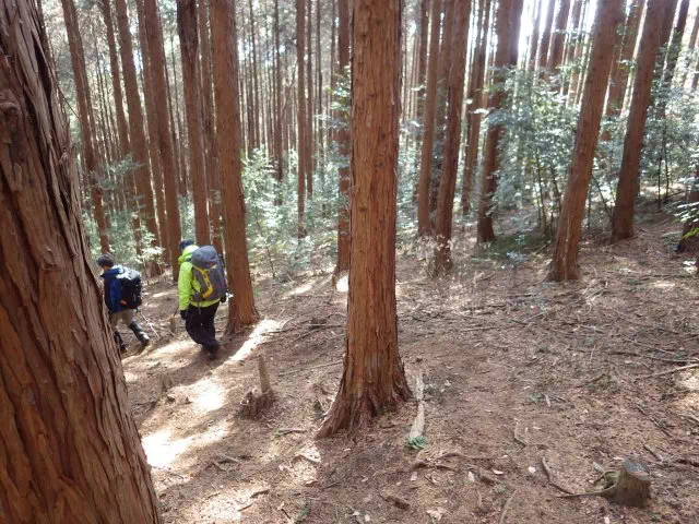 黒戸山下り 黒戸山下り