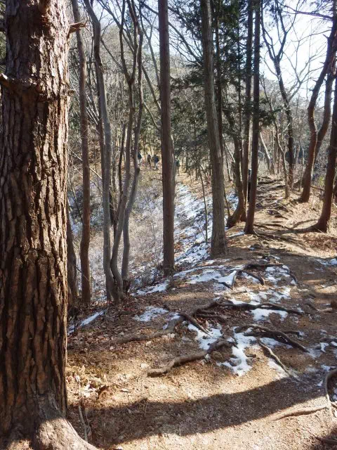 残雪の尾根道 残雪の尾根道