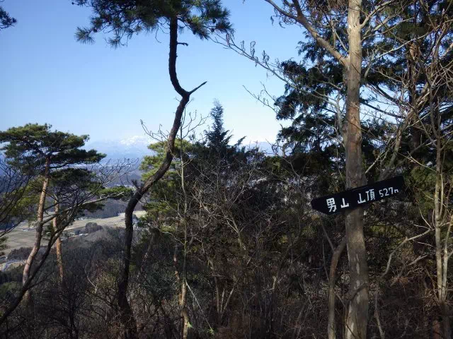 男山山頂 男山山頂