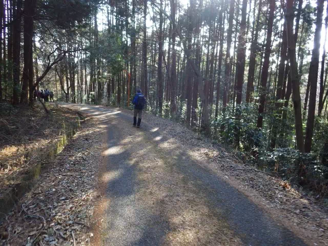 林道歩き 林道歩き