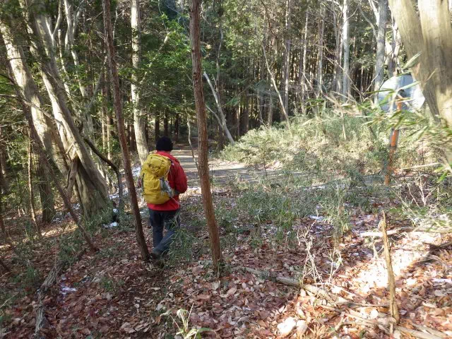 林道出口 林道出口