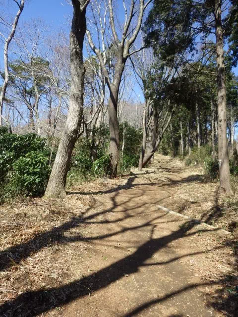 ハイキングコース道