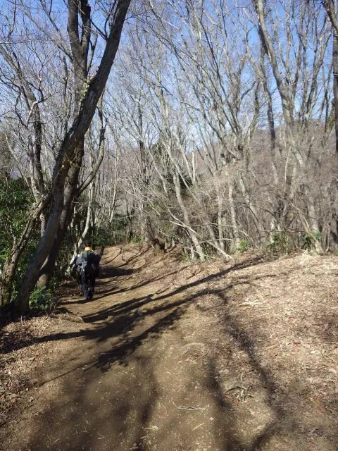 ハイキングコース道