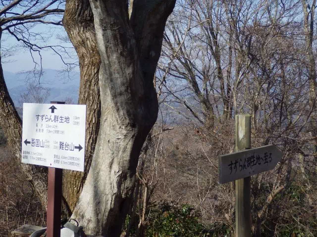 すずらん群生地分岐