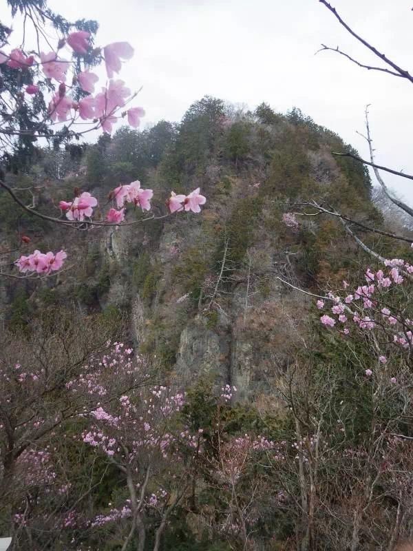 岩峰