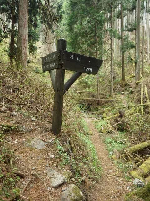 月山分岐