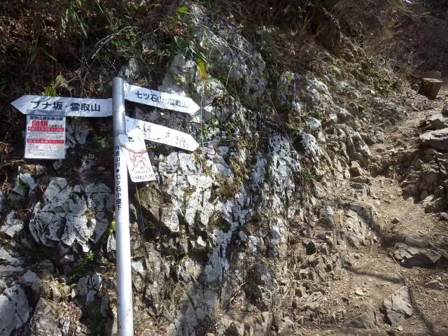 ブナ坂分岐 ブナ坂分岐