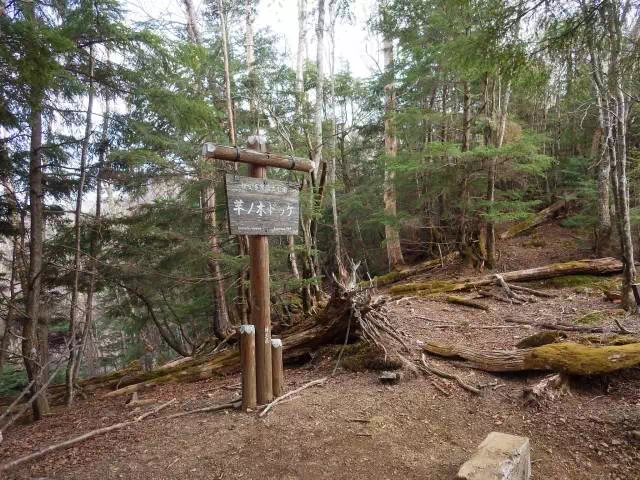 芋ノ木ドッケ 芋ノ木ドッケ
