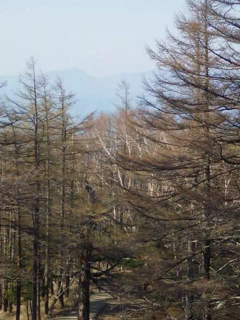 下りで富士山 下りで富士山