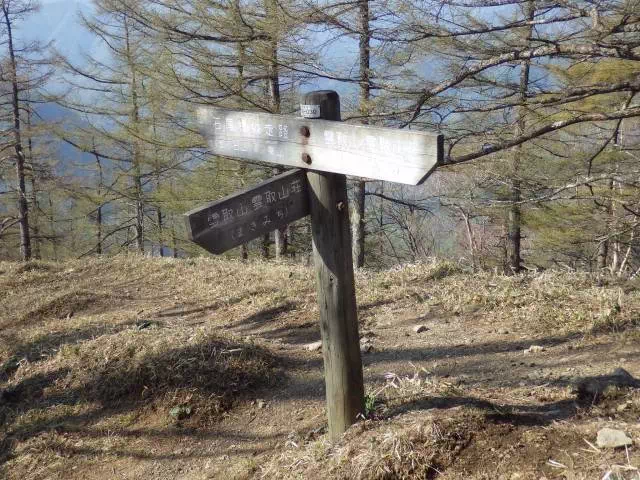 まき道分岐 まき道分岐