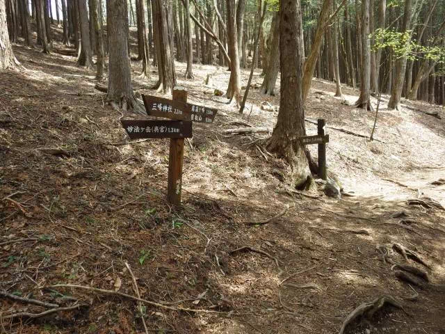 奥宮分岐 奥宮分岐