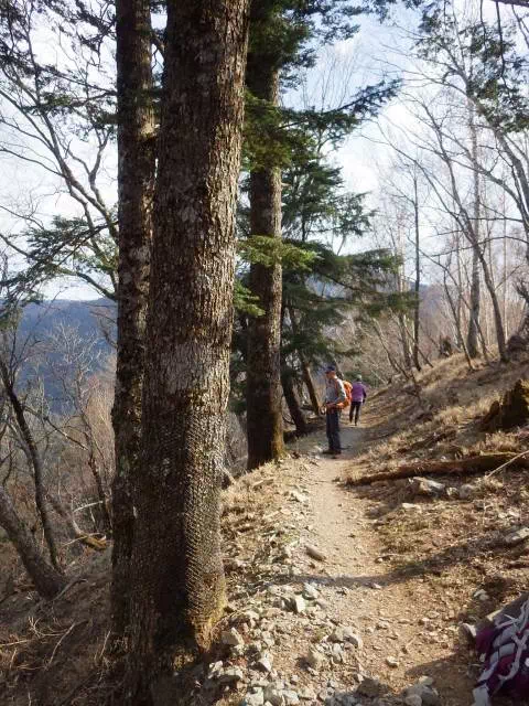 緩い下り 緩い下り