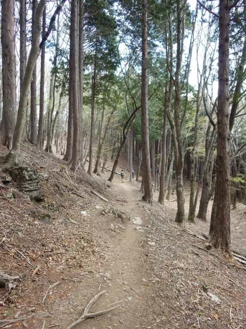 緩い登り 緩い登り