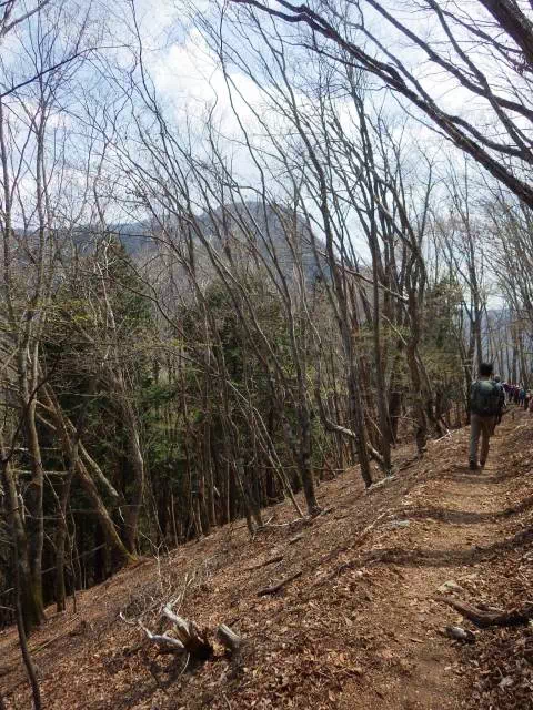 緩い登り 緩い登り