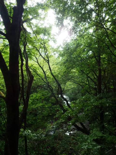 青空のぞく 青空のぞく