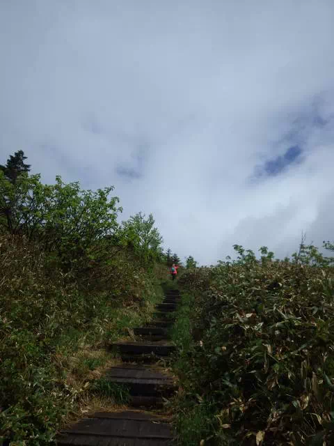 青空出る 青空出る