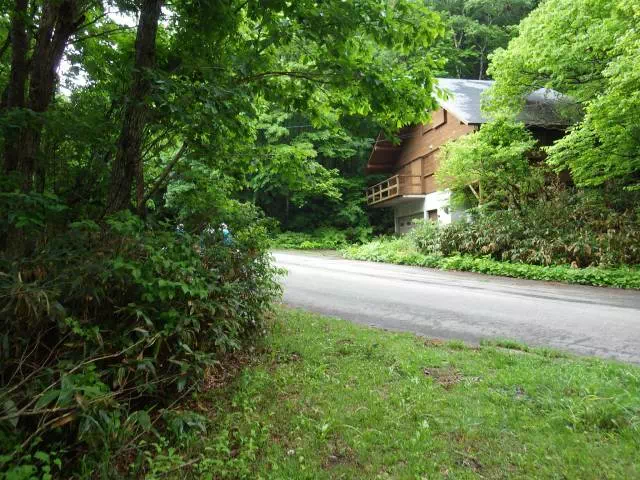 林道へ出る 林道へ出る