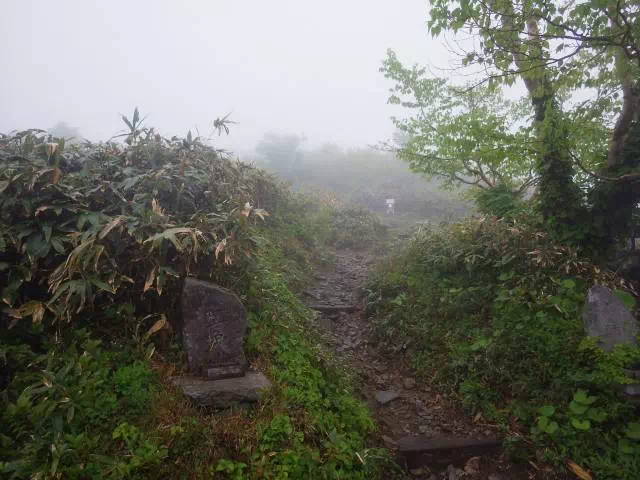 山頂への道 山頂への道