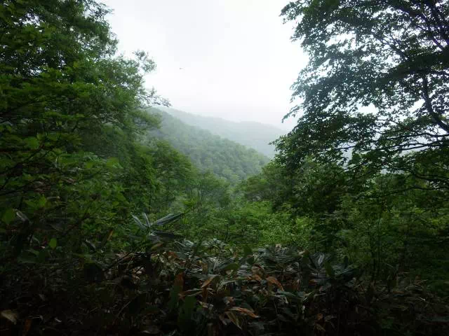 山を見て下り 山を見て下り