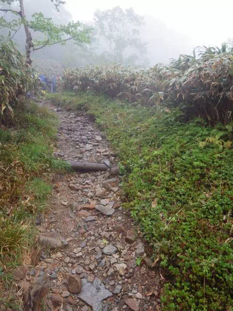 緩い登り 緩い登り