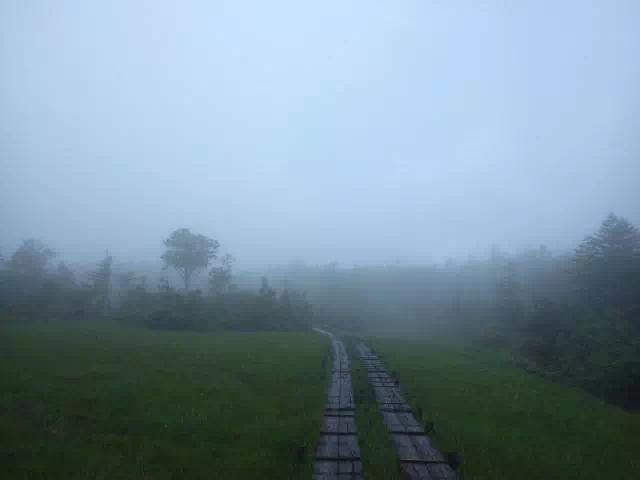 霧の田代 霧の田代