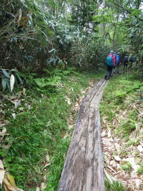 下りの木道 下りの木道