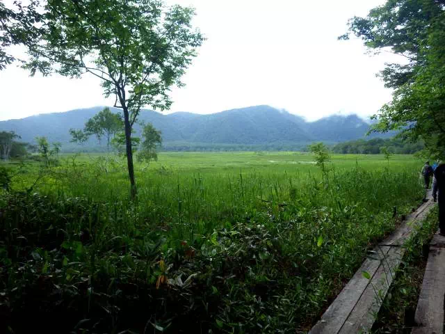 尾瀬ヶ原 尾瀬ヶ原