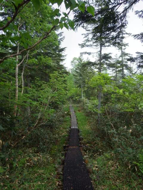 竜宮への道 竜宮への道