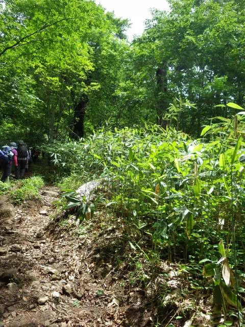 緩い登り 緩い登り