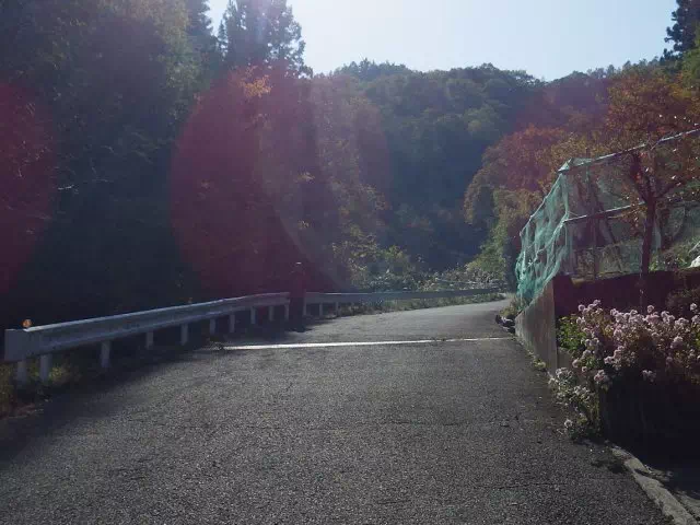 舗装道路