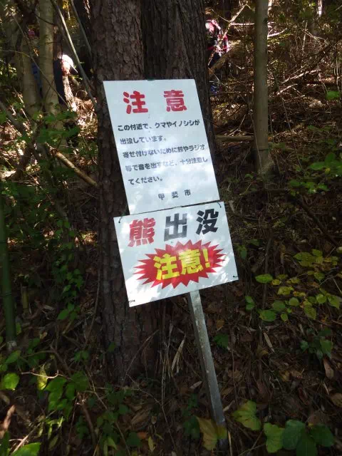 熊注意