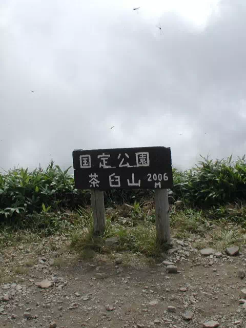 茶臼山