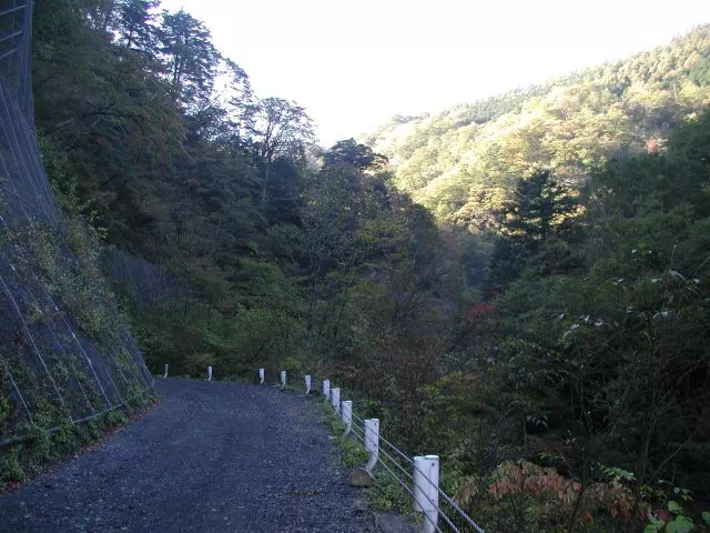 後山林道