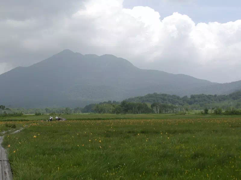 日光キスゲと燧ケ岳 日光キスゲと燧ケ岳