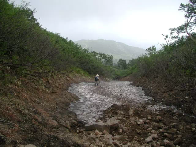 雪渓 雪渓