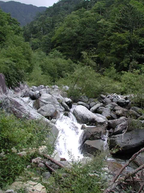 渓流 渓流