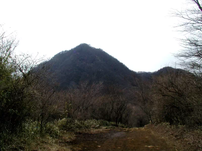 金時山