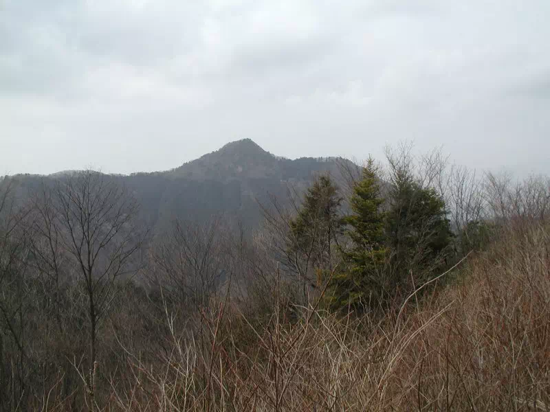 馬頭刈尾根からの大岳山