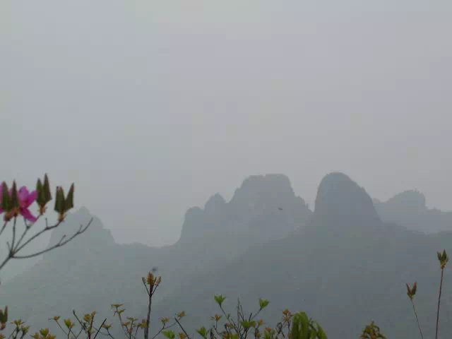 烏帽子岩 烏帽子岩