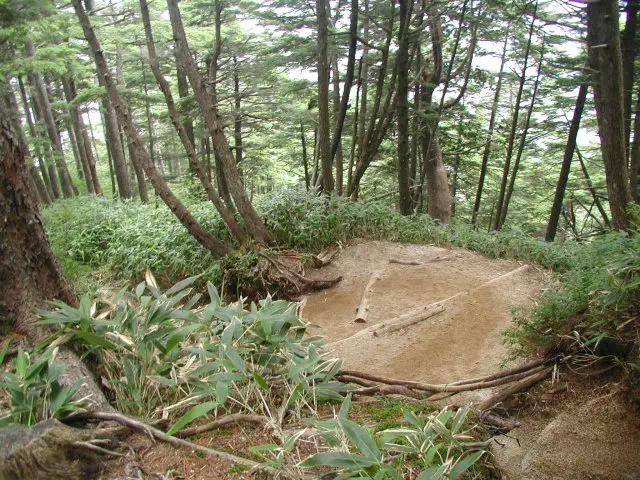 登山道 登山道