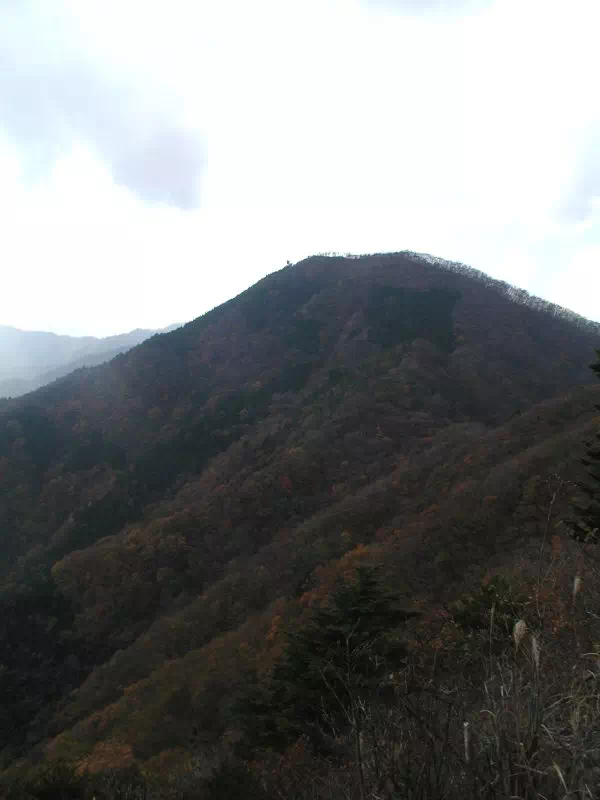 笹子雁ケ腹摺山 笹子雁ケ腹摺山