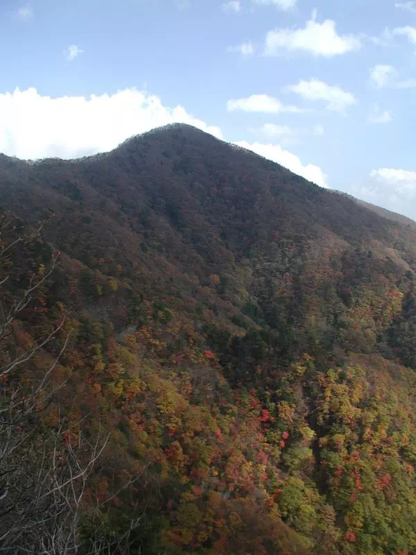 お坊山 お坊山