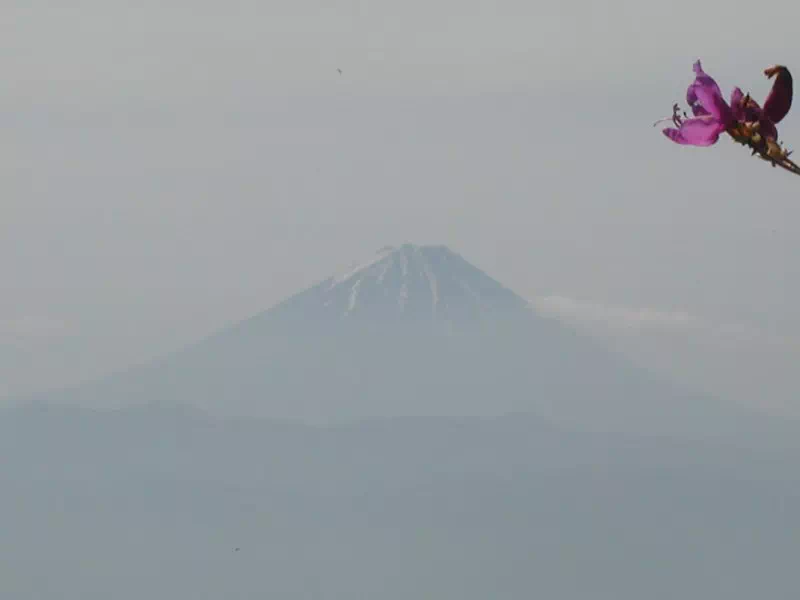 富士山 富士山
