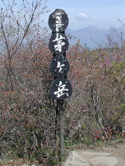 山頂 山頂