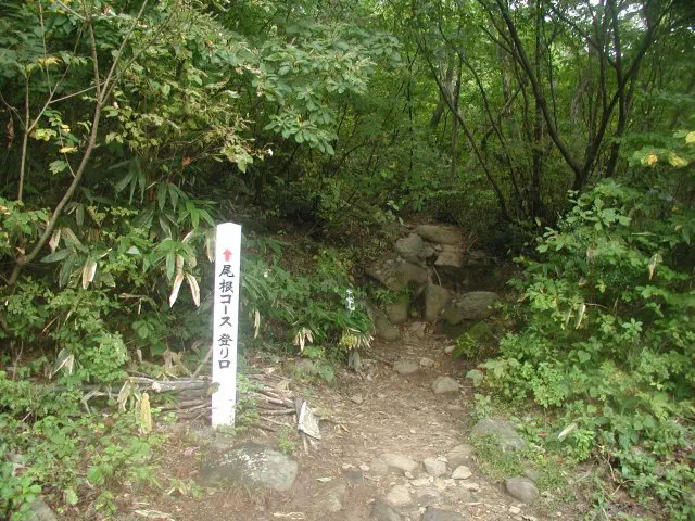 登山口 登山口