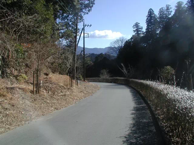 舗装道路