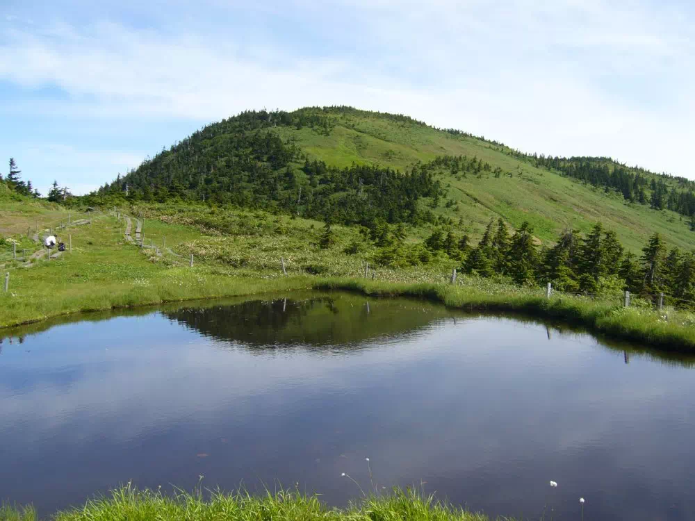 駒の池と駒ケ岳 駒の池と駒ケ岳