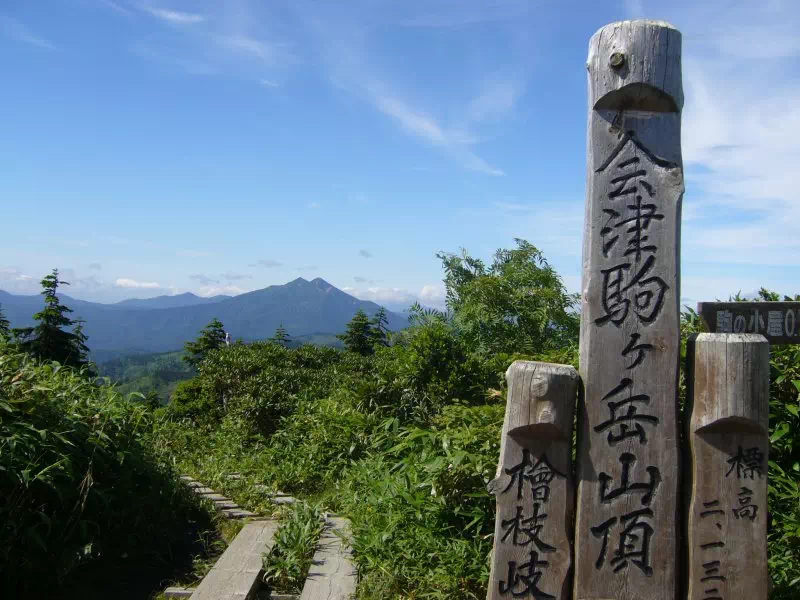 山頂 山頂
